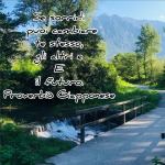 Immagine 2022-05-20 155427